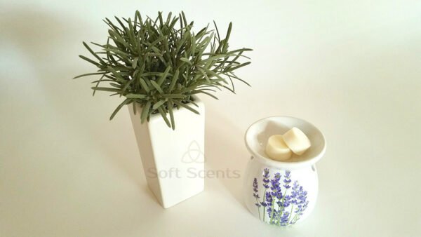 Aromabrander lavendel - Afbeelding 2
